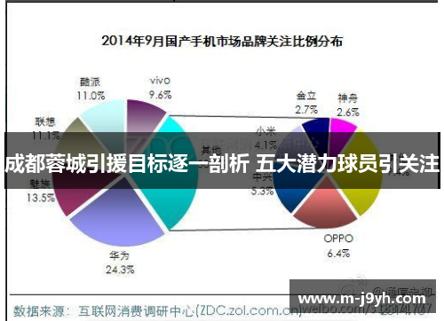 成都蓉城引援目标逐一剖析 五大潜力球员引关注 成都蓉城引援目标逐一剖析 五大潜力球员引关注