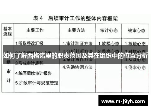 如何了解西格诺里的职责范围及其在组织中的位置分析